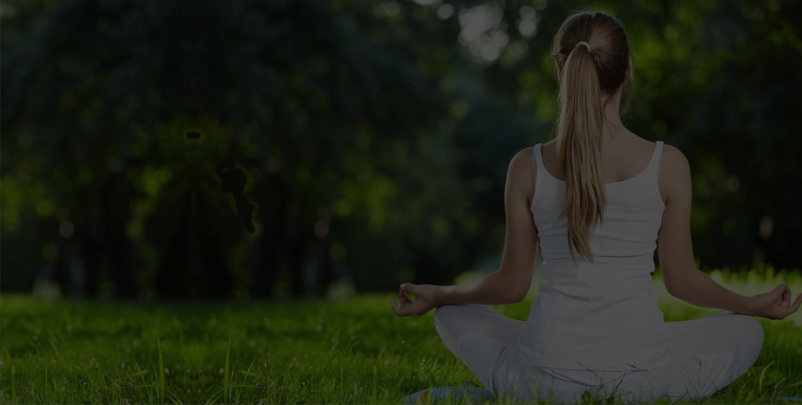 Yoga and Ayurvedic Centers